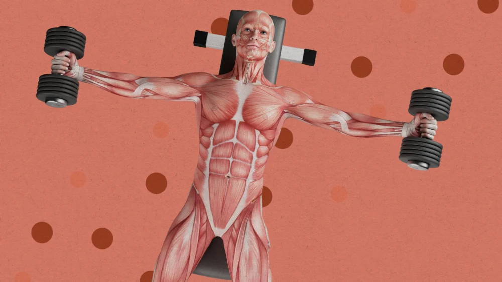 This company is developing gene therapies for muscle growth, erectile dysfunction, and “radical longevity”