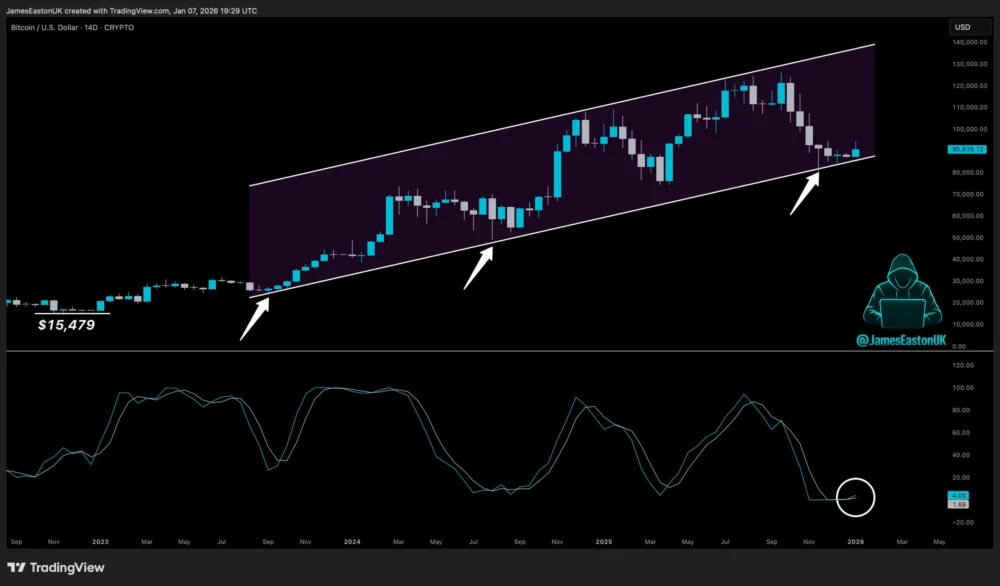 Bitcoin Can Hit $105,000 in Weeks Based on RSI Signals, Says Trader