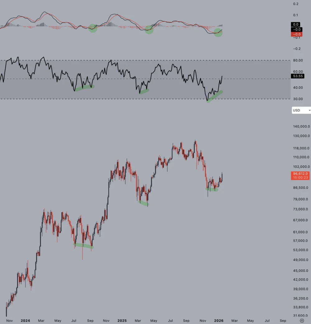 Bitcoin RSI Leads Bullish Signals With All Eyes on $101,000