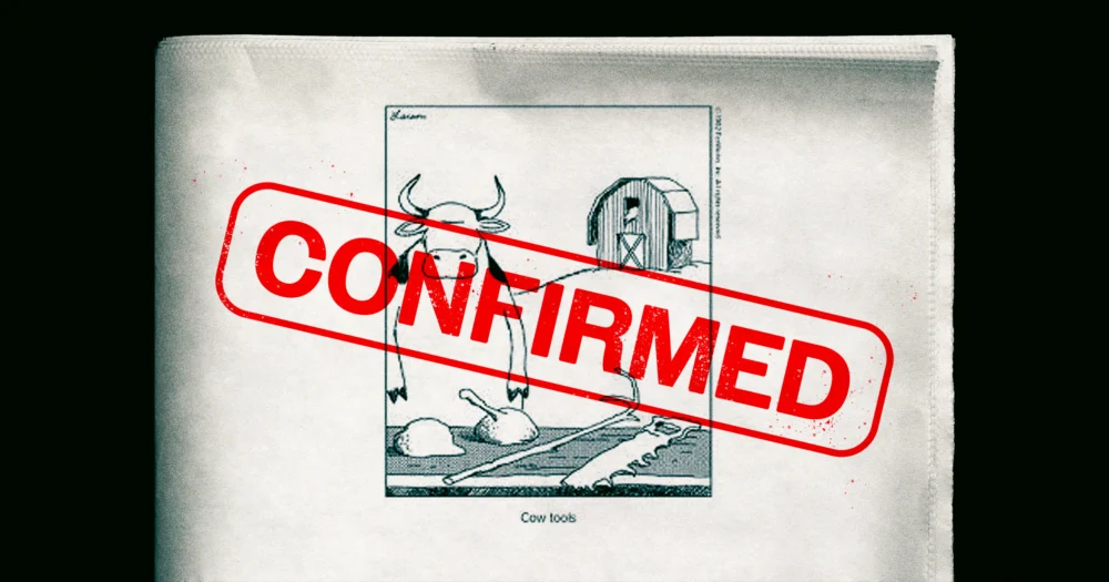 Scientists Suddenly Discover That Cow Tools Are Real