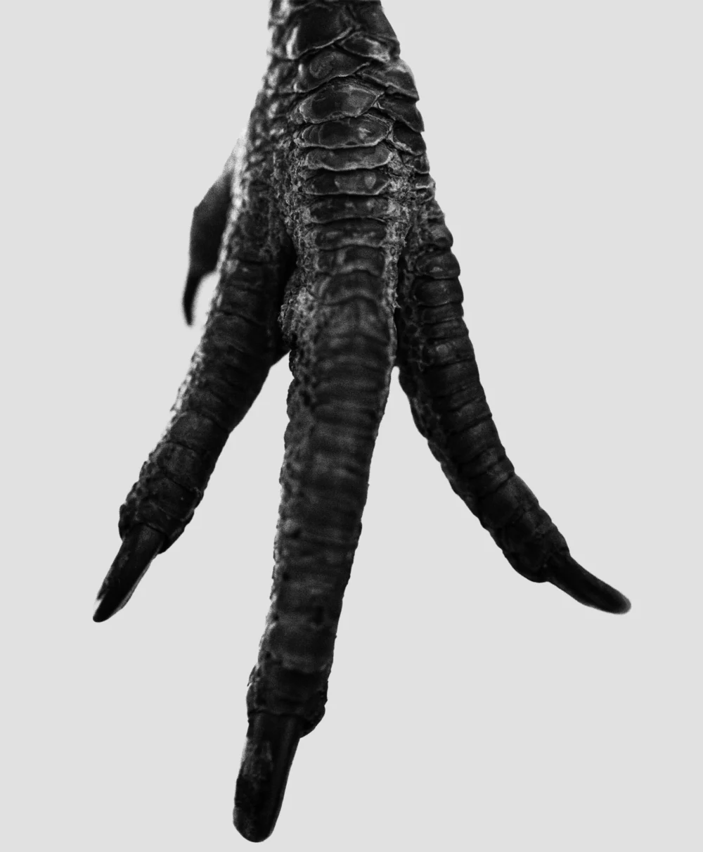 Community Service and Content: A Story About Expendability