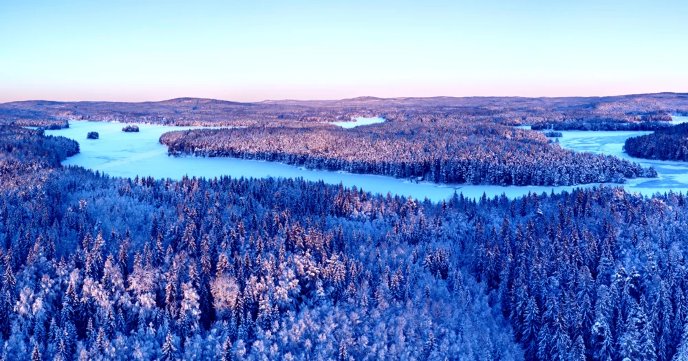 Forests Are Steadily Crawling North, Satellite Imagery Shows, Revealing a Complex Climate Conundrum