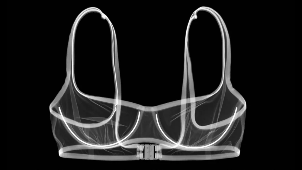 Job Titles of the Future: Breast Biomechanist Revolutionizing Athletic Apparel Through Scientific Inquiry