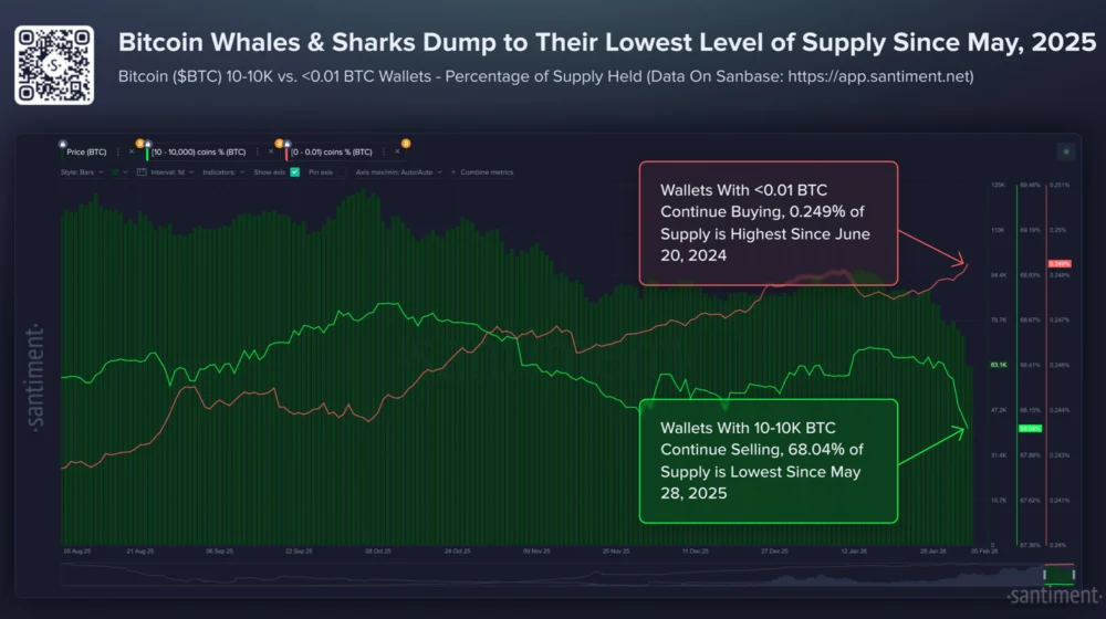 Large Bitcoin Holders Supply Hits 9-Month Low.