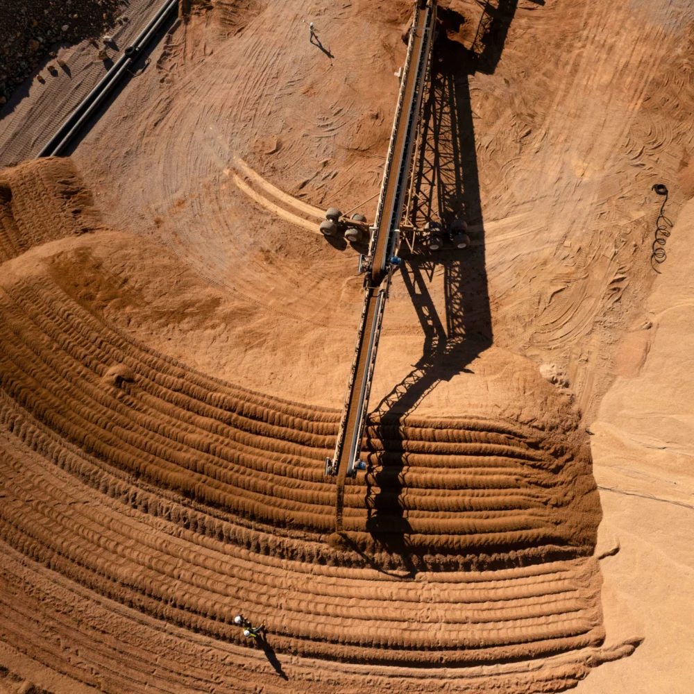 Microbes could extract the metal needed for cleantech