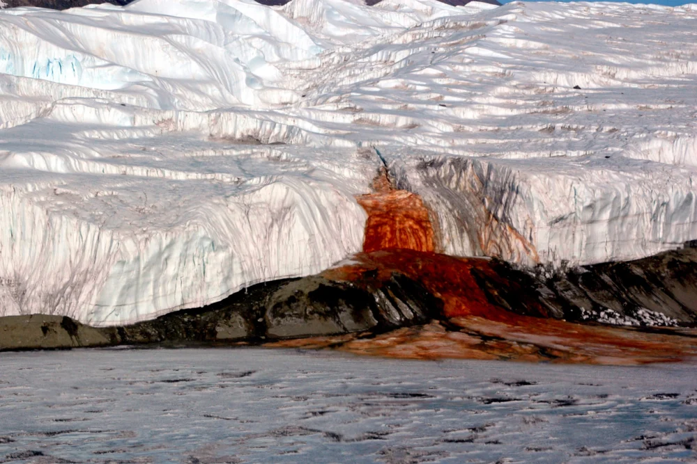 There’s a Perfectly Reasonable Explanation for Antarctica’s Waterfall of Blood
