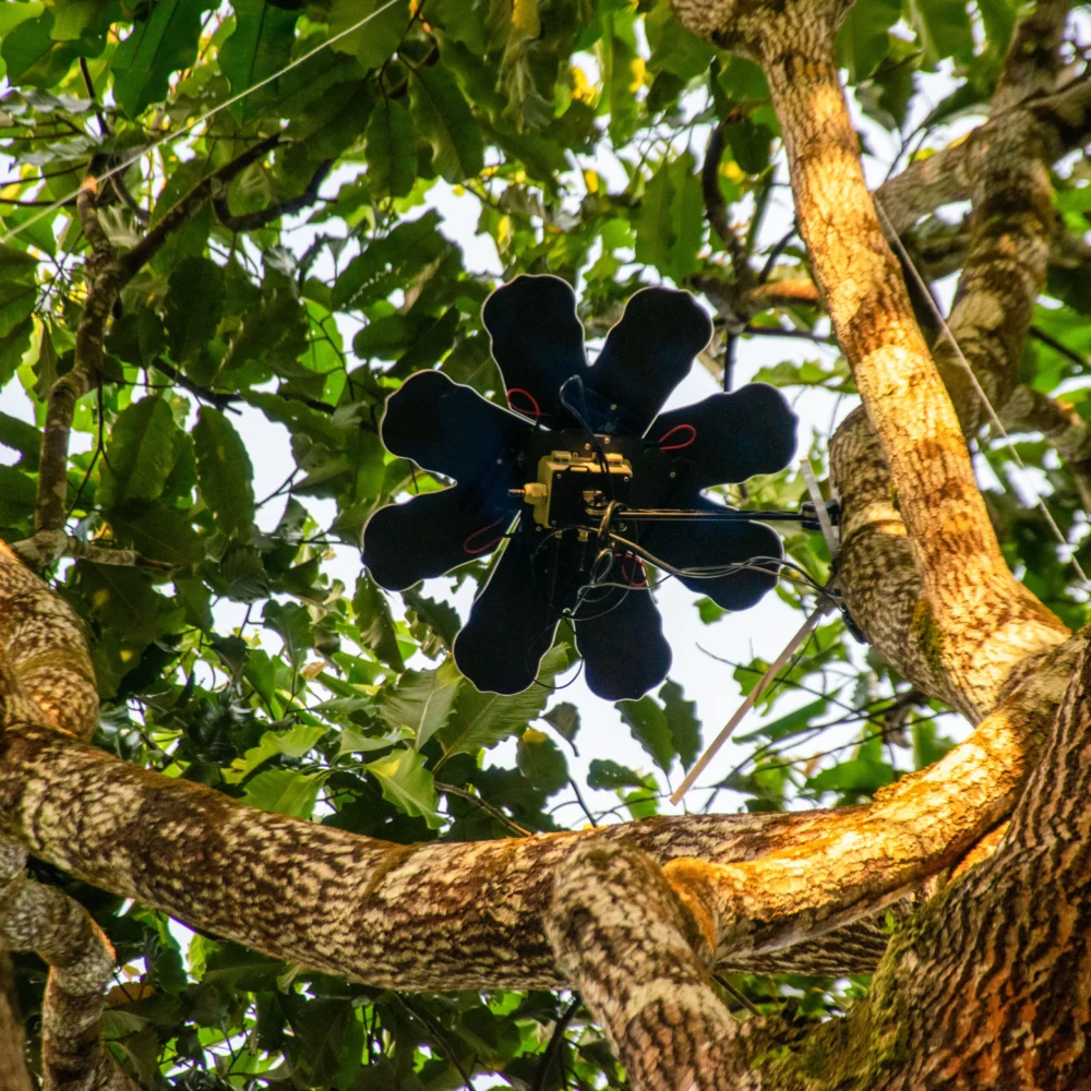 Why conservationists are making rhinos radioactive