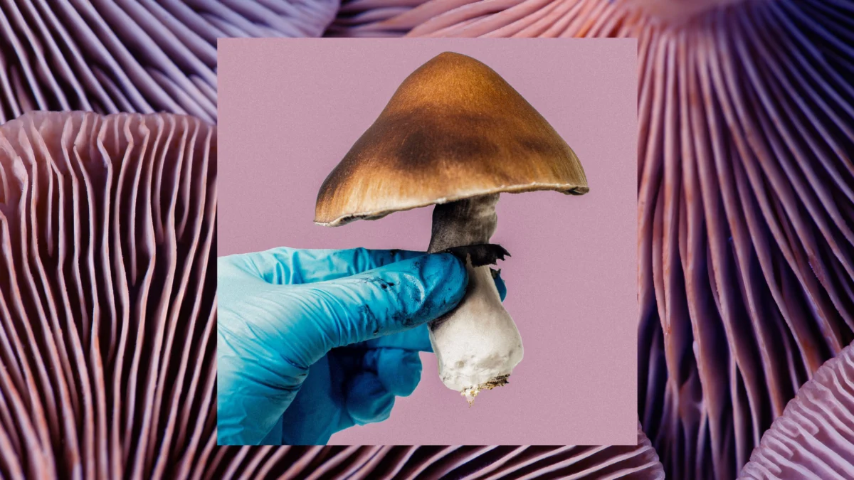 Mind-altering substances are (still) falling short in clinical trials