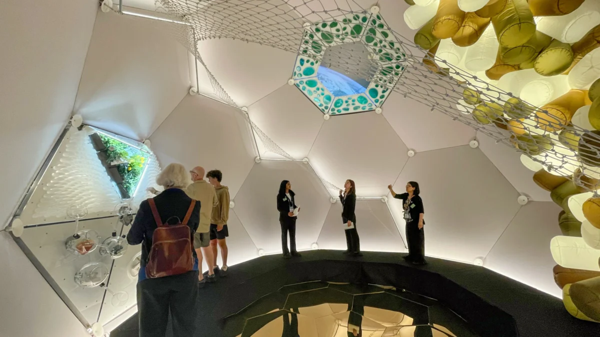 The Download: the internet’s best weather app, and why people freeze their brains and content.