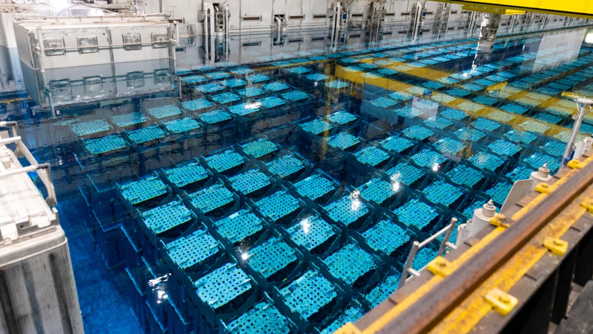 Why the World Hesitates to Fully Embrace Nuclear Waste Recycling