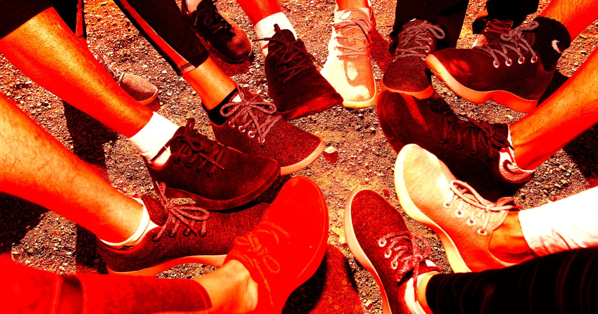 Allbirds Stock Now Crashing as Reality Sets in About Its Delusional AI Pivot