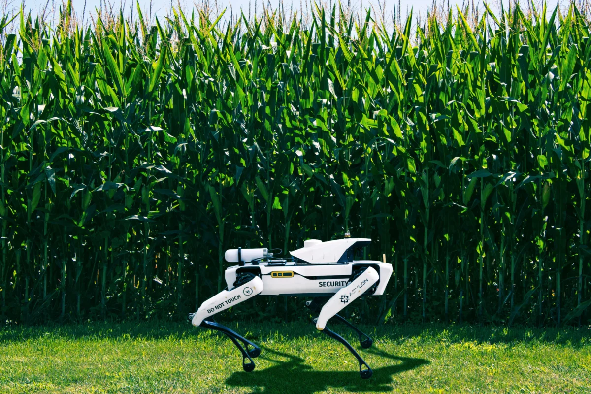 Sentinels of Scarcity: Robot Dogs Patrol Priceless Crops as Global Hunger Deepens
