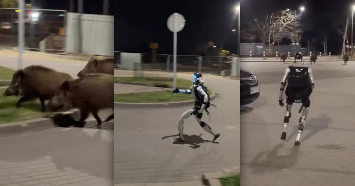Video Shows Humanoid Robot Chasing a Pack of Wild Boars