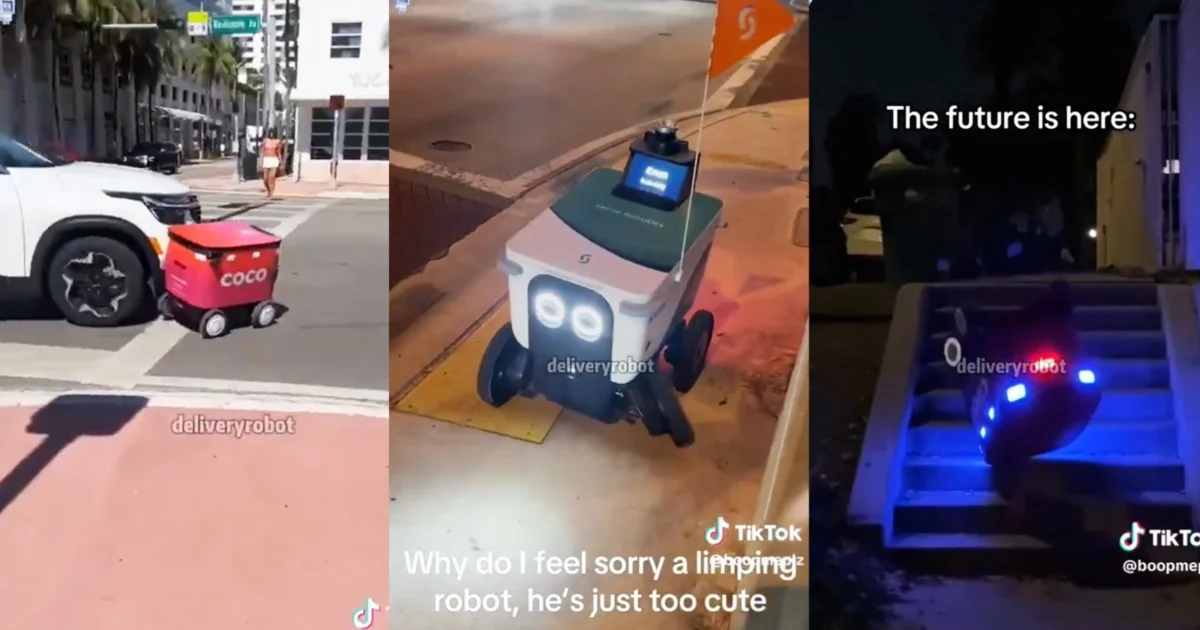 Wild Video Shows Delivery Robots Causing Havoc, Getting Obliterated