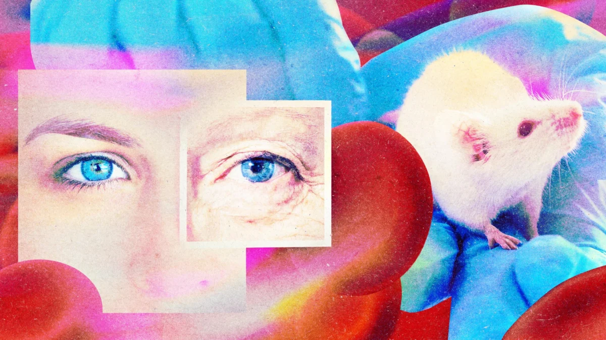 A Startup Claims It’s Found a Drug to Make Your Blood Young and Content