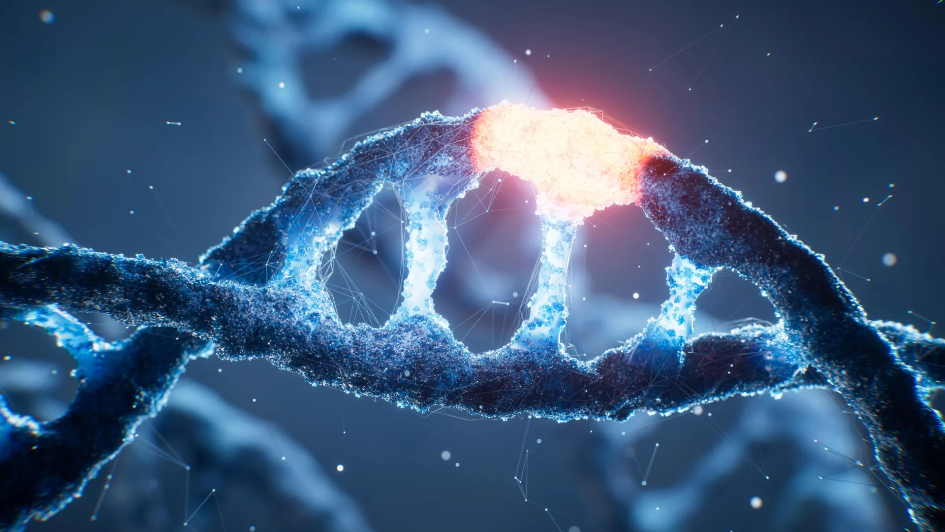 A Hidden "On Switch" in Human DNA Has Finally Been Decoded, Revealing Crucial Insights into Gene Regulation and Disease.