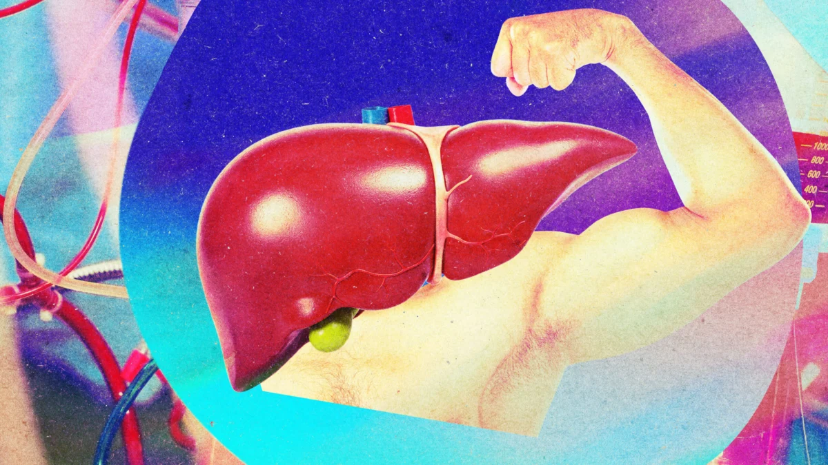 Donated Livers Can Be Made Biologically Younger and Healthier Through Advanced Perfusion Techniques