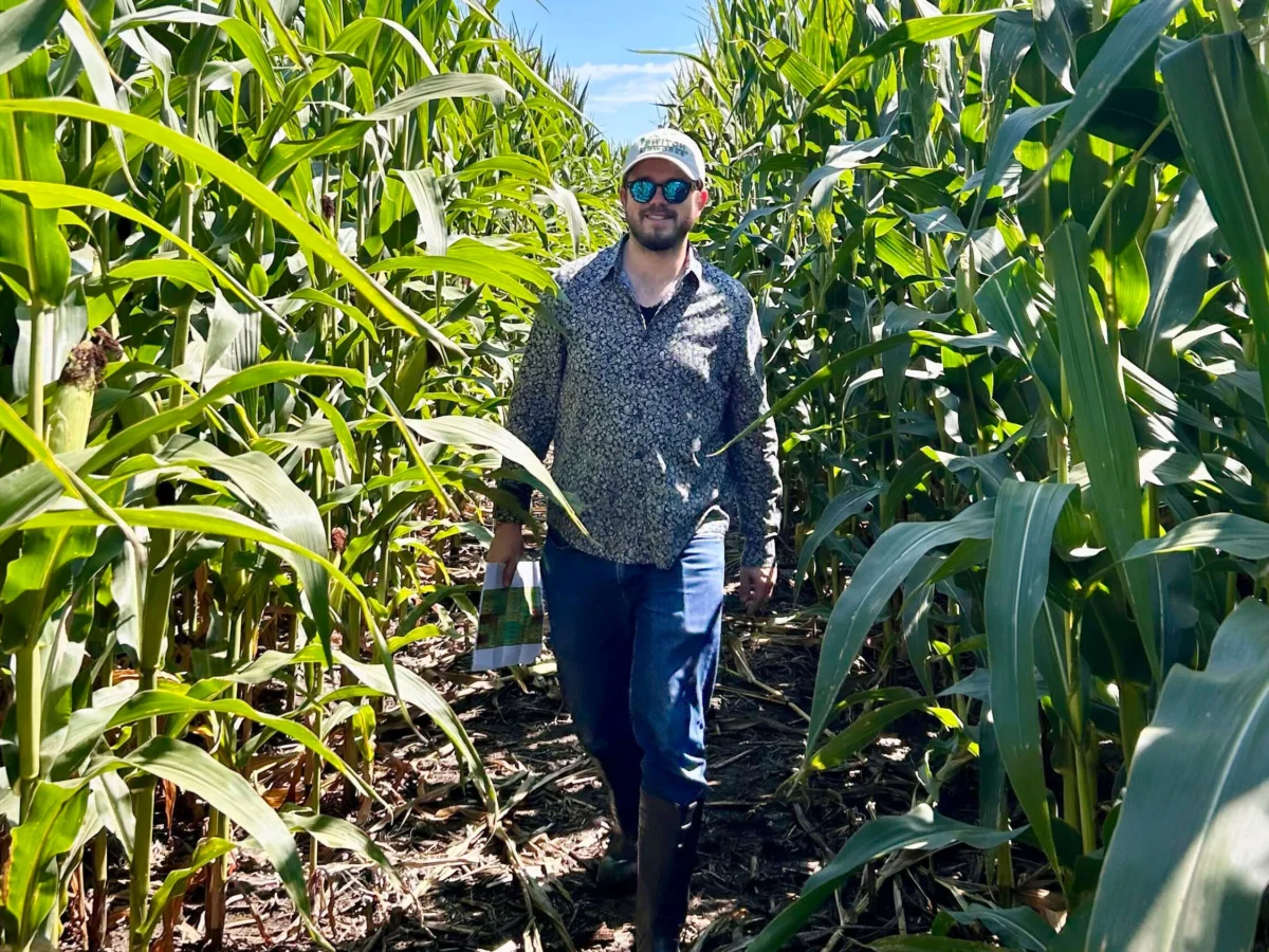 How engineered microbes could help feed the world’s crops.